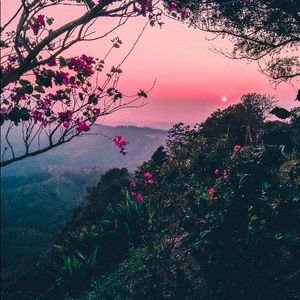 Meet your Posher, Reem